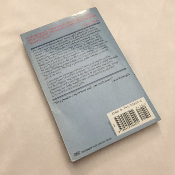 'The Dragon Doesn't Live Here Anymore' Softcover Book By Alan Cohen - Picture 7 of 11